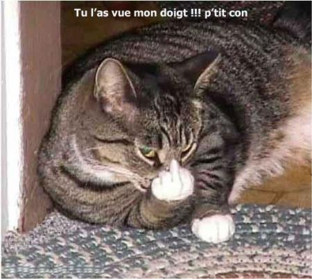 titi35